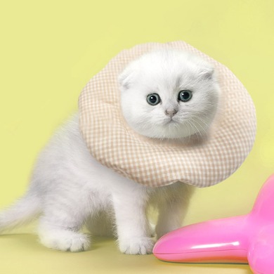 [개놀자] 오가닉 도넛형 넥카라 - 강아지 고양이 넥쿠션